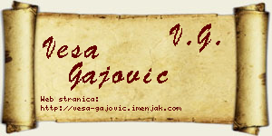 Vesa Gajović vizit kartica